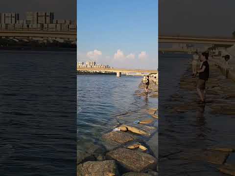 本日の釣り場　　釣果は小鯖のみ