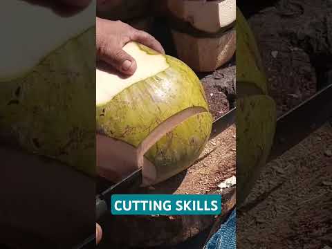 Best coconut cutting skills Asmr #satisfying #coconut #streetfood #youtubeshorts @GatchieJr33