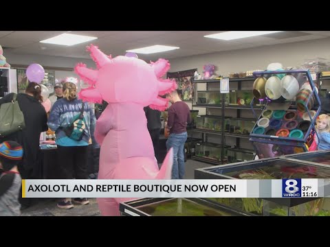 Reptile store slithers to Webster