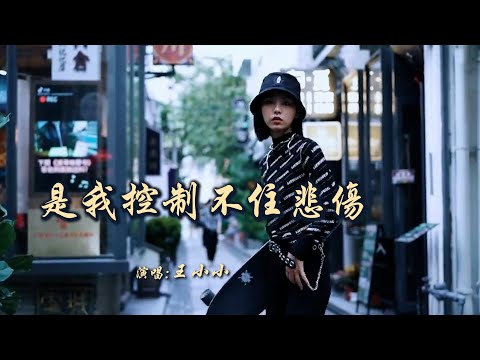 王小小 《是我控制不住悲伤》 「是我控制不住突然袭来的悲伤，是我执意要把回忆给收藏；就算结果些许荒唐，也不想失去所有希望」 【动态歌词 Lyrics】