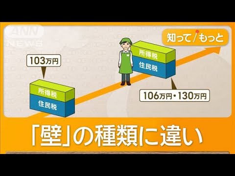 立憲は「130万円の壁」で対策法案を提出　国民は玉木代表の不倫疑惑を倫理委で調査へ【知ってもっと】【グッド！モーニング】(2024年11月14日)