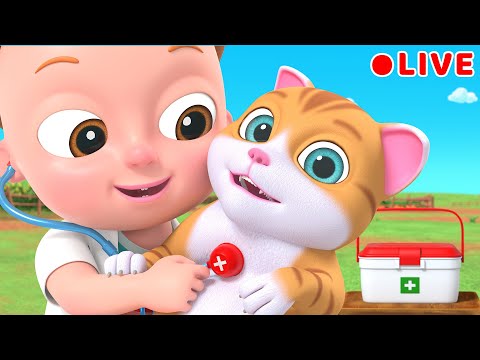 Doctor Joey On The Farm | Farm Animals Song for Kids | Beep Beep Nursery Rhymes