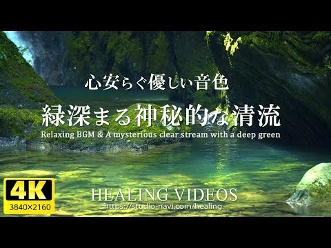 [Relaxing BGM and natural sounds] Beautiful Japanese streams and gentle melodies