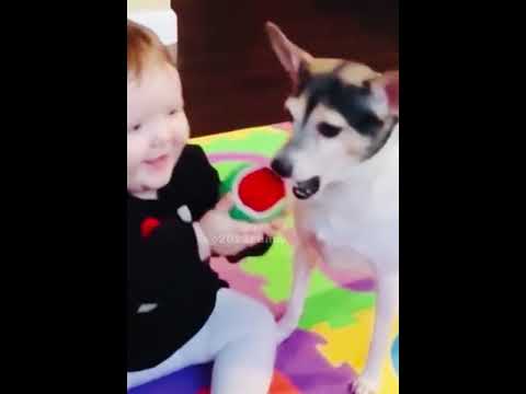 #fyp #baby #babylove #lovingbaby #funny #funnyvideos #amazing #reaction #cute #shorts