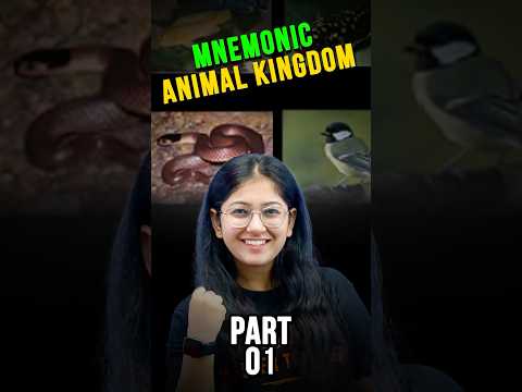 Learn the animal kingdom with mnemonics Part - 1😱📚🔥 #class11 #animalkingdom #vedantuclass11