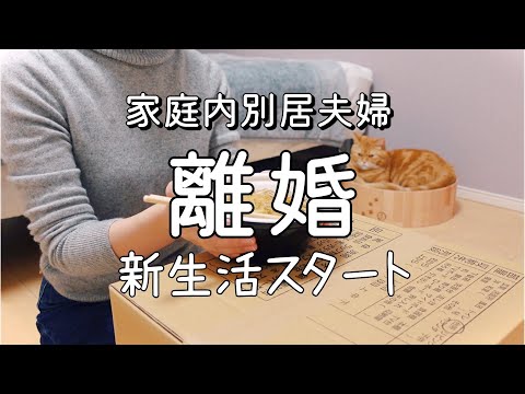 【vlog】離婚して新生活はじめました。新居で過ごす初めての夜 | 家庭内別居 | 離婚 | アラサー| 猫