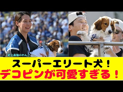 優勝パレード中のデコピンが可愛すぎる！