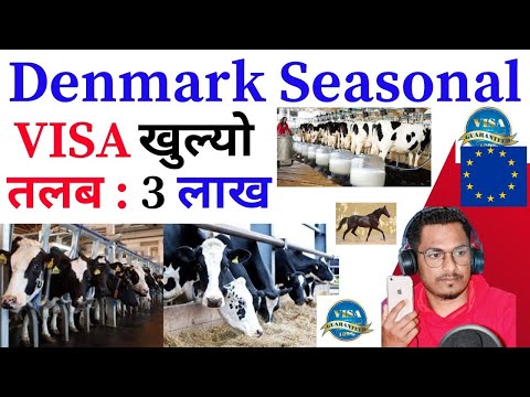 Denmark Seasonal Work Visa 2024 | Denmark Seasonal Visa Apply online | Apply For Danish Farm Jobs