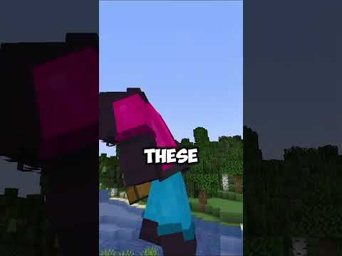 Minecraft Items That Got Removed #minecraft #redditstories #minecraftadventure