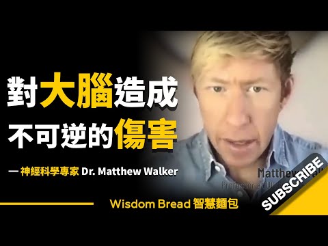 如果你一天只睡4-5小時 ► 會對大腦帶來怎樣的傷害？- 神經科學專家 Dr Matthew Walker 馬修·沃克（中英字幕）