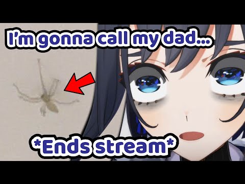 Kronii Decided to End Her Stream Because of a Spider AGAIN