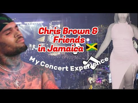 Chris Brown & Friends in Concert | Vibes, Entertainment, Experience 💯| Worth It| Vengogetta Visits