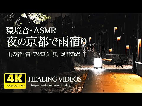 [Environmental sound / ASMR] 3 hours of rain shelter in Kyoto at night when fireflies dance