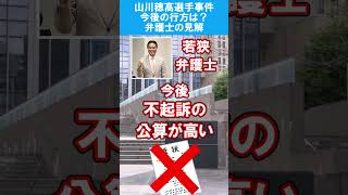 どうなる？山川穂高選手！弁護士の見解まとめ！