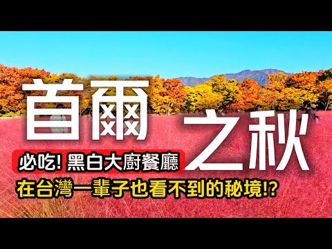 到底在紅什麼❓【黑白大廚】無菜單料理阿姨人生湯麵❗風靡全韓國的粉紅芒草秘境❓2024年新開幕水原星空圖書館｜韓國❌首爾❌京畿道｜SEOUL｜