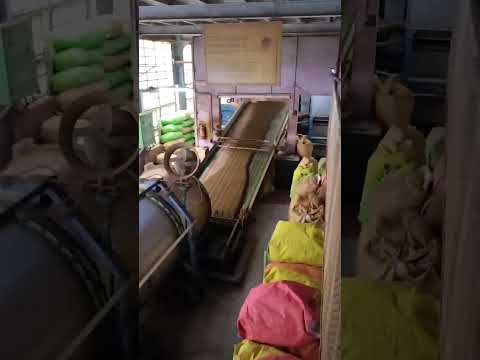 Tea Factory Ooty #travel #trending #ooty #viral #ytshorts #song #proses