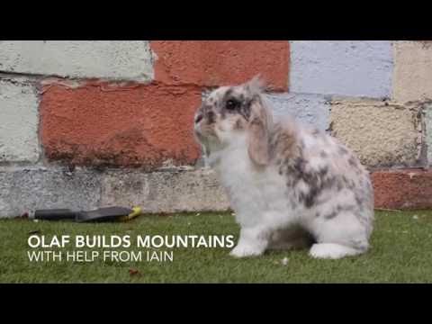 Olaf Builds A Mountain