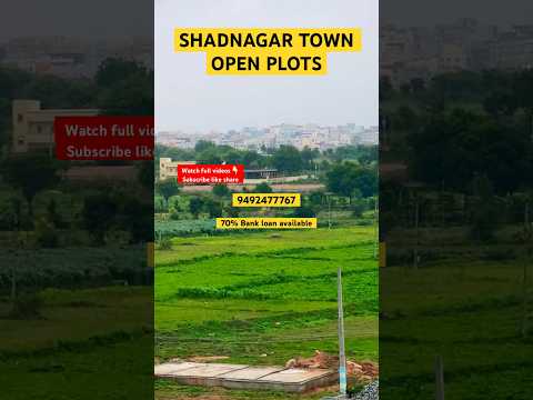 Shadnagar open plots Hyderabad Real Estate #telugu #250sqyplots #realestate #hyderabadrealestate