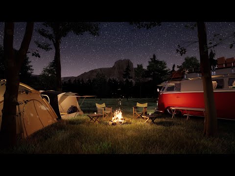 Starlit Night Camping: Campfire & Crickets Sounds in the Grasslands | 8 Hours