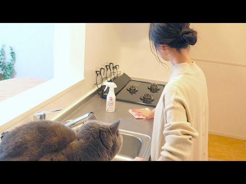 My little habit to keep a clean kitchen｜Cleaning the kitchen｜Living alone in Japan｜VLOG