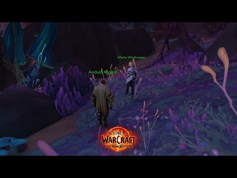 Alleria Anduin Dialogue About Void | WoW TWW