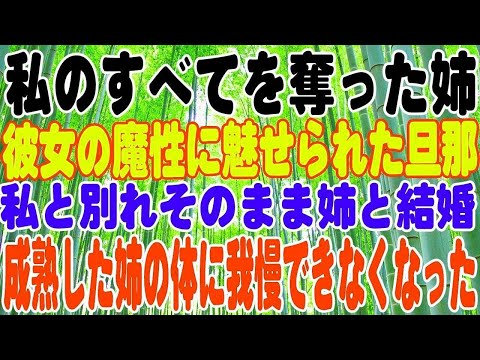 【スカッとする話】私のすべてを奪った姉。彼女の魔性に魅せられた旦那。私と別れそのまま姉と結婚。しかし私には秘策が