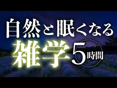 【睡眠導入】自然と眠くなる雑学5時間【合成音声】