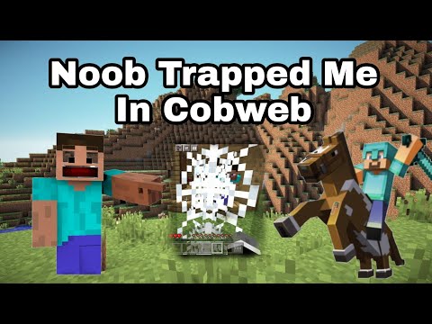 Noob Trapped Me In Cobweb #shorts #minecraftshorts #noobpanti #noobfunnyvideo #mcpelovers#mcpeplayer