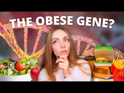 Is being fat genetic? Is obesity a choice? // The genetic side of obesity (science-backed) | Edukale