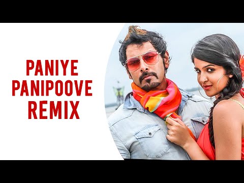 Paniye Panipoove Remix - Rajapattai