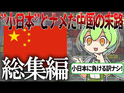 【総集編】中国さん、ねぇ今どんな気持ち？小日本とナメてかかった中国の末路【ずんだもん＆ゆっくり解説】