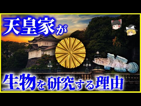 【ゆっくり解説】天皇家は何故生物の研究をするのか？を解説/上皇陛下が研究された魚の謎と昭和天皇、秋篠宮皇嗣殿下のご研究