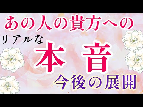 驚き🤭あの人の貴方へのリアルな本音&今後の展開🌈片思い複雑恋愛&障害のある恋愛状況  曖昧な関係·遠距離恋愛·距離が出来た音信不通💌🕊️～🌈タロット&オラクル恋愛鑑定