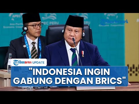 Hadiri Forum Bisnis di Brasil, Prabowo Blak-blakan Ungkap Keinginan Indonesia Gabung BRICS