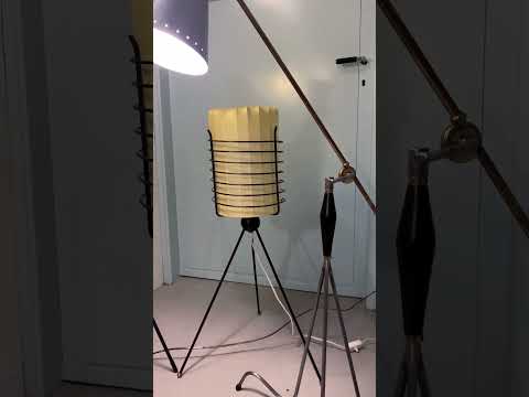 Amazing Swedish mid century modernists floor lamps