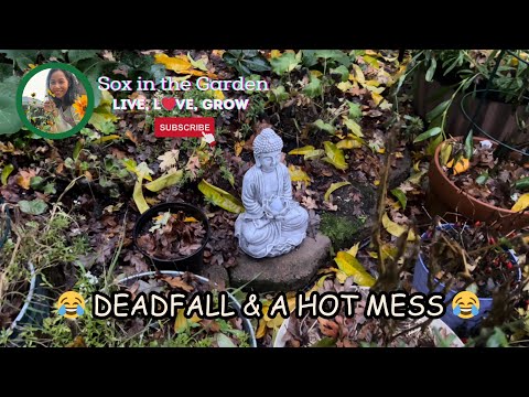 Deadfall & a Hot Mess 😂 | Sox In The Garden Vlog