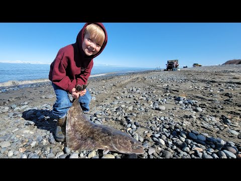 Halibut Catch & Cook While Beach Camping in Alaska