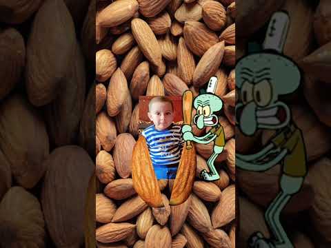 almonds ||  cute baby almond #shorts #almonds #dryfruits #shortsfeed