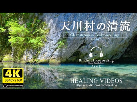 [Healing/Natural Sounds] Beautiful clear streams in Japan | Tenkawa Village | Binaural recording