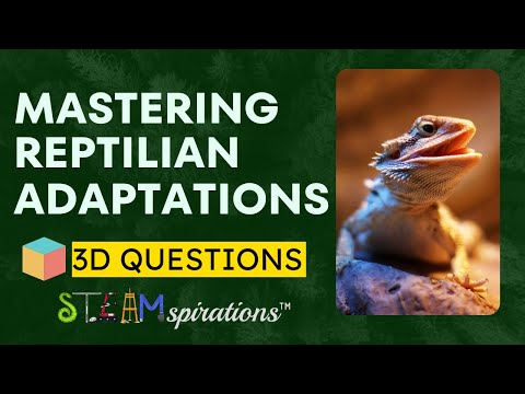 Reptilian Adaptations: How Lizards Regulate Temperature | 3-D Questions Steamspirations Mr. Lara