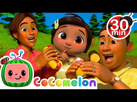 Family Picnic with Nina's Familia | Cocomelon Nursery Rhymes for Kids