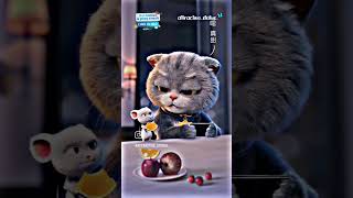 Sed Cat vairl videos || #vairlvideo #vairalshort #vairlstatus