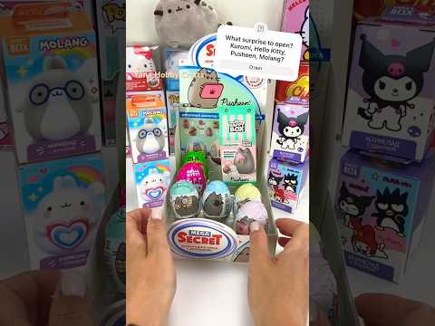 Kuromi Hello Kitty Pusheen Molang surprises! #kuromi #hellokitty #sanrio #asmr #pusheen