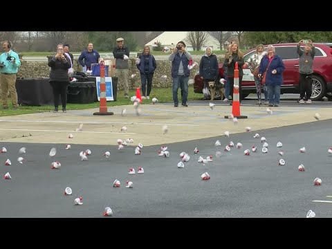 Wood County Museum hosts turkey drop