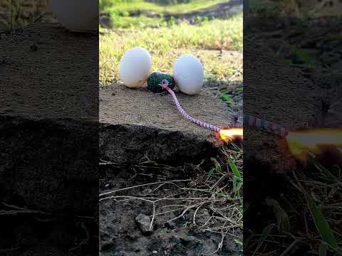 Eggs Vs sutlibomb /what will happen?#experment #scienceexperiment #sciencehacks