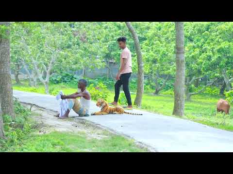 Fake Tiger Prank | Fake Tiger vs Man Prank on Public (Part 20) | 4 Minute Fun