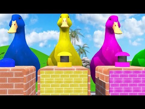 5 Cartoon Animals: Zebra, Hippo, Crocodile, Rhino, Monkey Painting Animation 3d Animal Cartoon