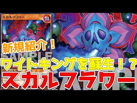 【ラッシュデュエル】新規紹介！スカルフラワー！ワイトキングも蘇生できるアンデット族！！！【遊戯王】