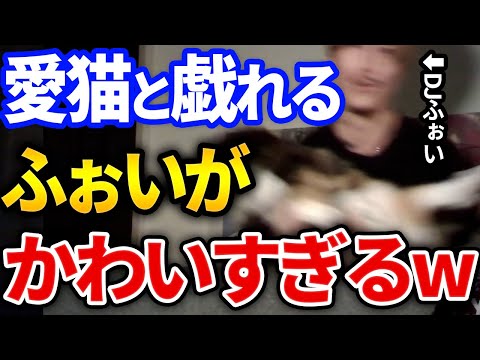 【ふぉい】ふぉいと愛猫との絡みが可愛すぎた件【DJふぉい切り抜き Repezen Foxx レペゼン地球】