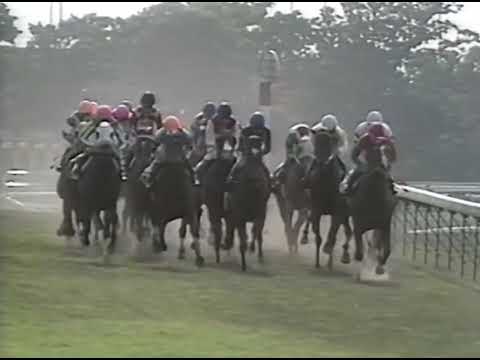 ヤマニンゼファー 1993年 第43回安田記念(GI) (優勝馬：ヤマニンゼファー)(実況：ラジオたんぱ)